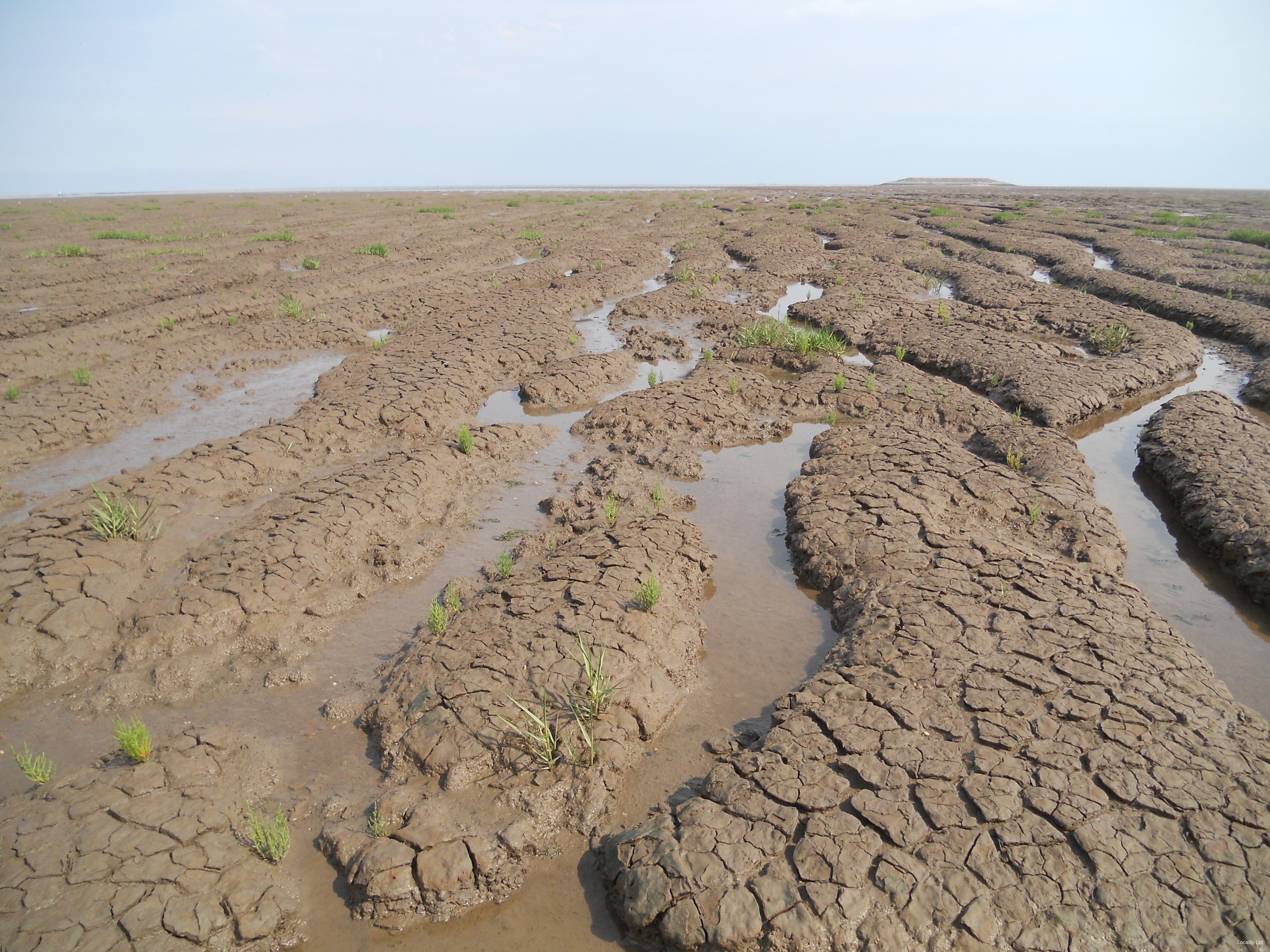 The Wash National Nature Reserve (Norfolk)